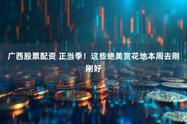 广西股票配资 正当季！这些绝美赏花地本周去刚刚好