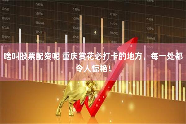 啥叫股票配资呢 重庆赏花必打卡的地方，每一处都令人惊艳！