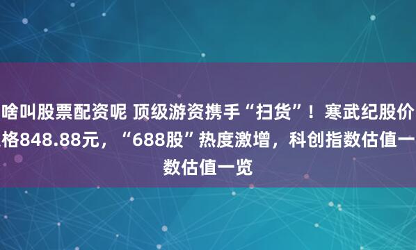 啥叫股票配资呢 顶级游资携手“扫货”！寒武纪股价定格848.88元，“688股”热度激增，科创指数估值一览